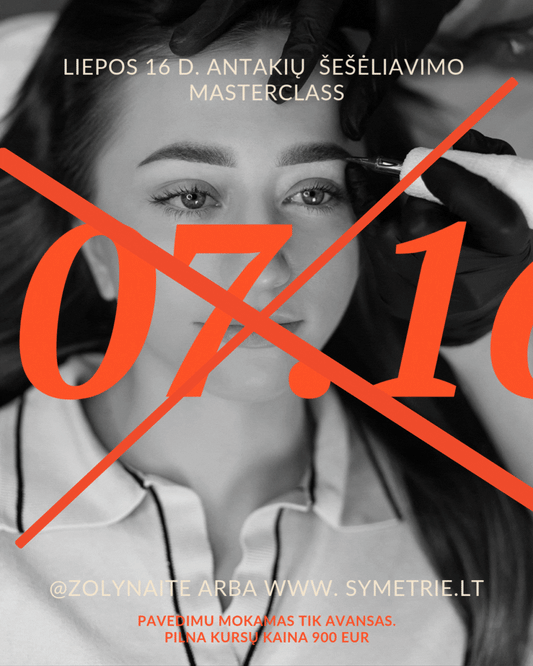 Antakių Šešėliavimo Masterclass